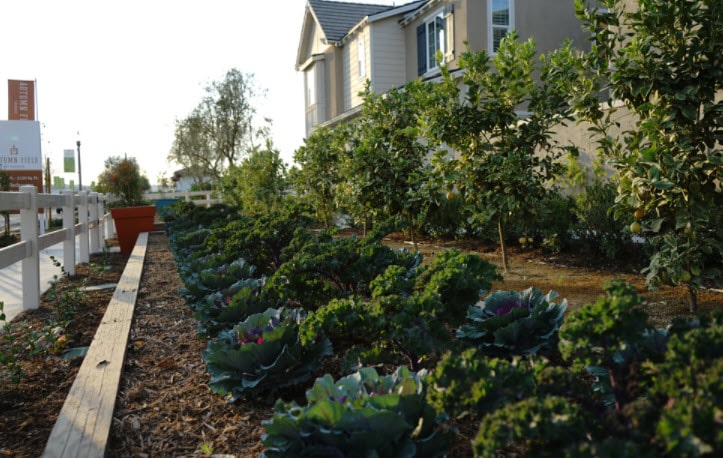 Harvest At The Preserve - Front Garden