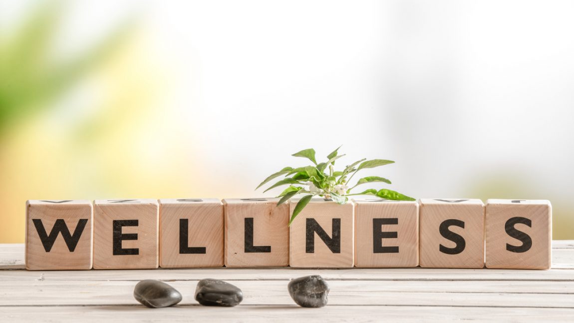 Lewis Careers Wellness
