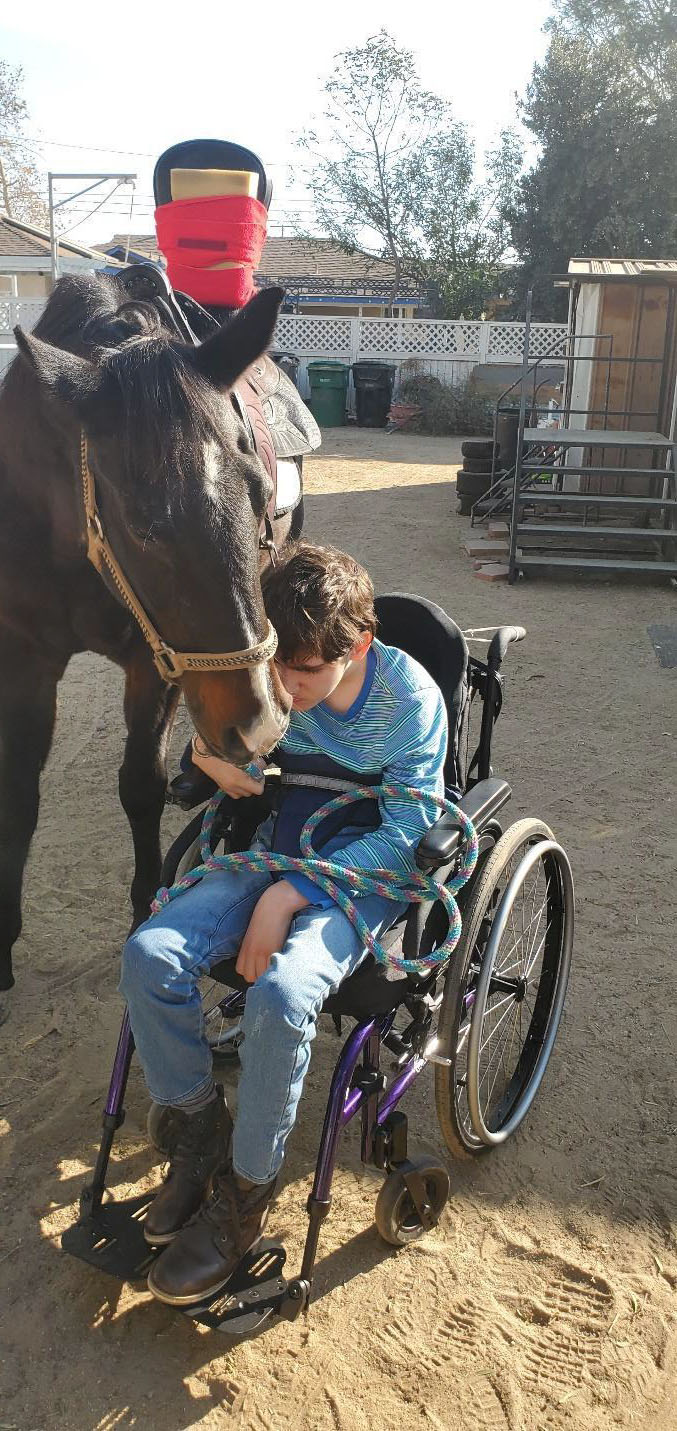 Horse and a boy
